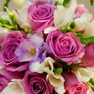 丁香花
