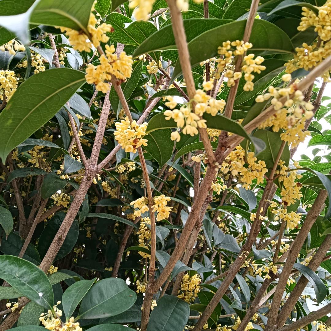 余生不求大富大贵、只求平安健康