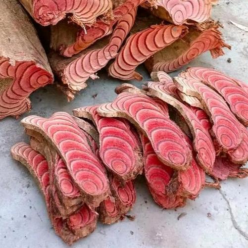 阿妹鸡血藤