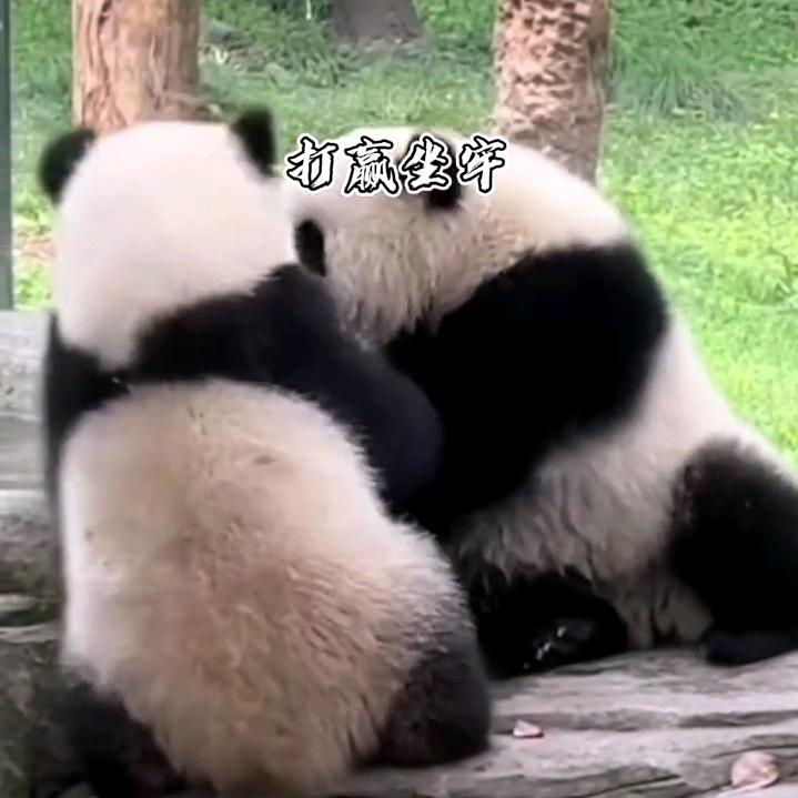 好好学习 天天向上