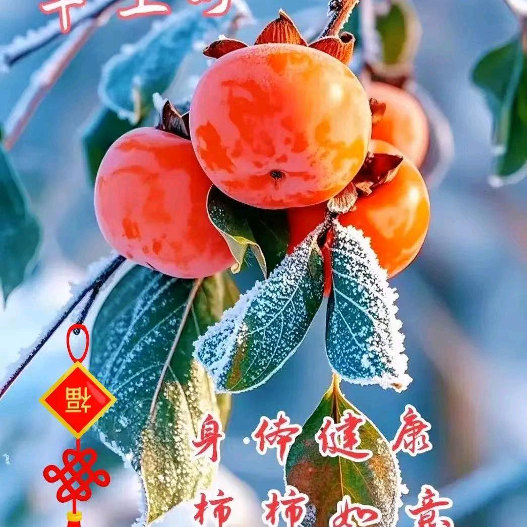 葵花