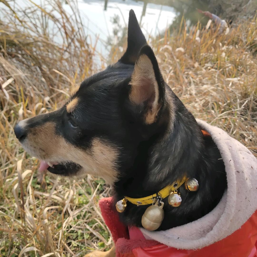 绝处逢生