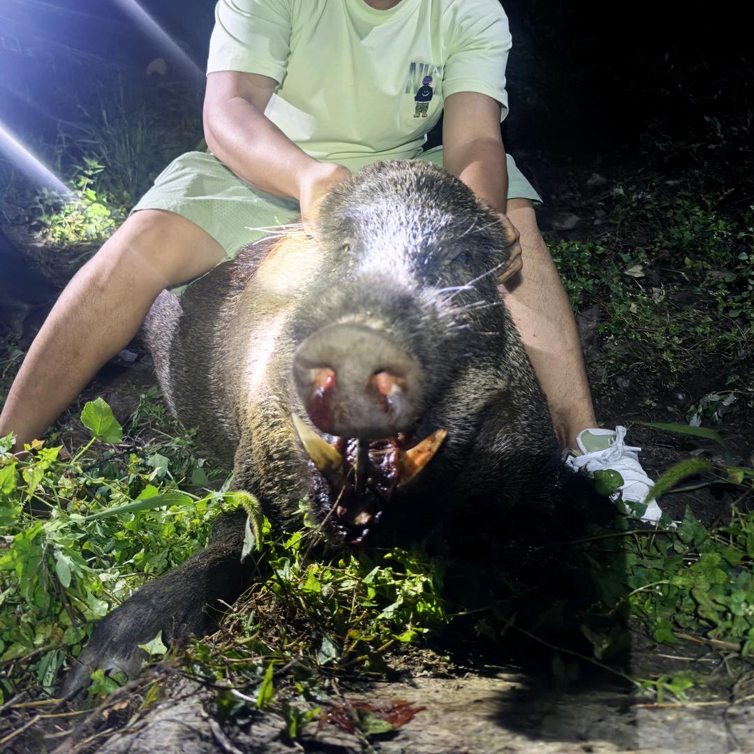 茂县尔玛公益护农