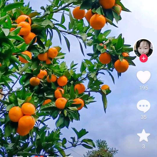 一个人的生活好