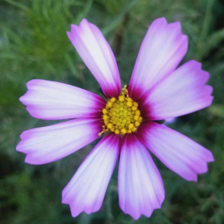 廉洁自律在路上