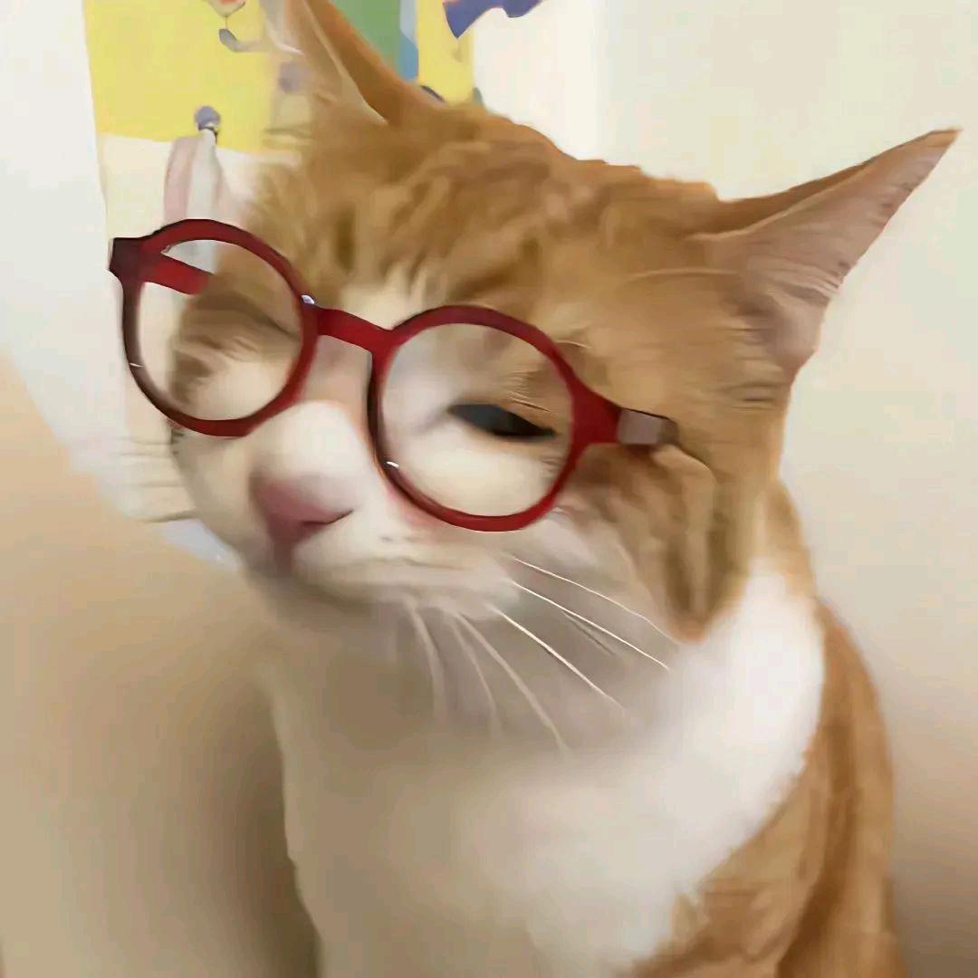 咪