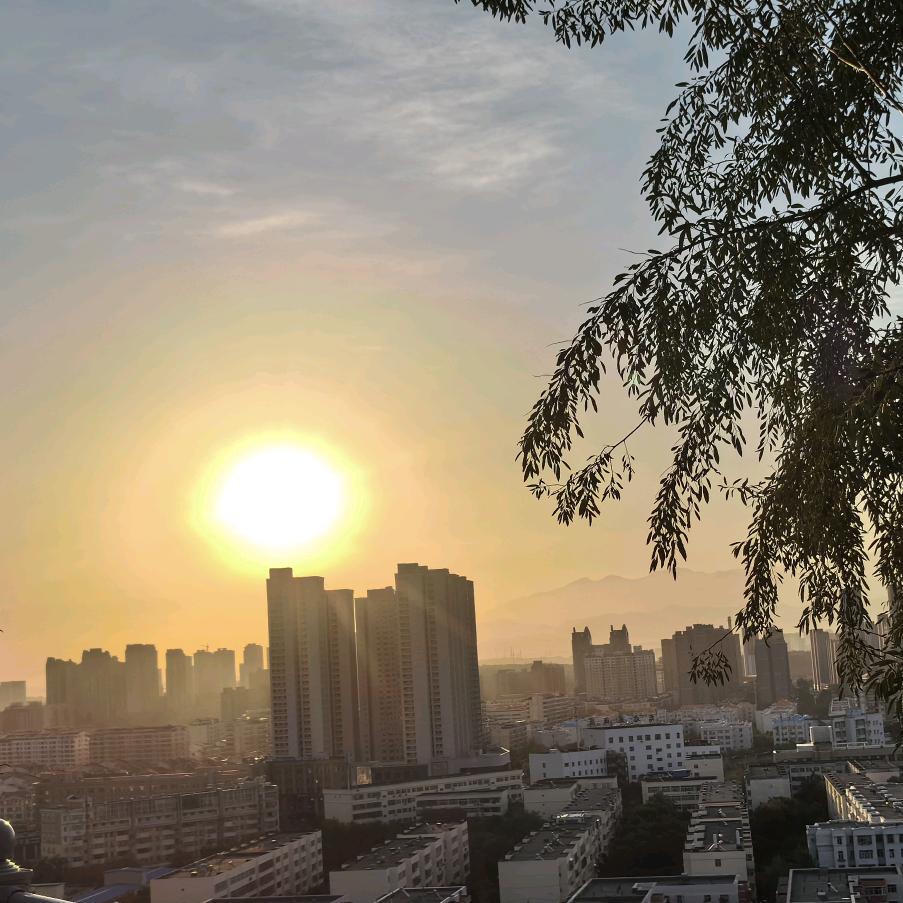 静静的白桦林