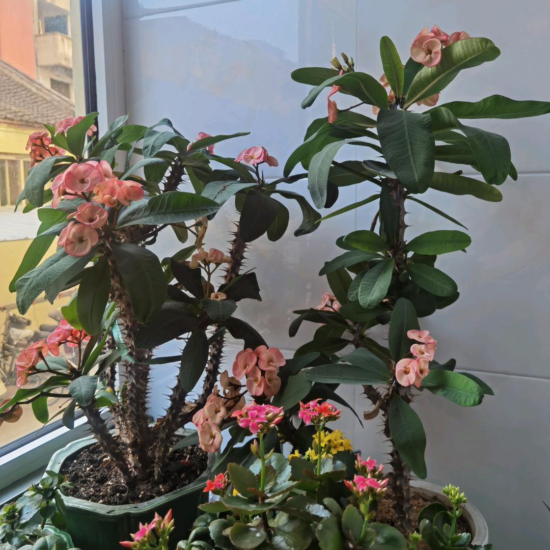 阿B