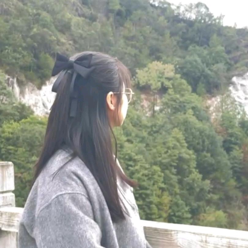 爱睡觉的小马