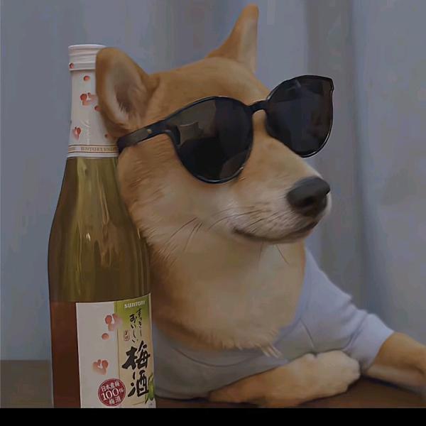 $飛～劉～殖～乤$