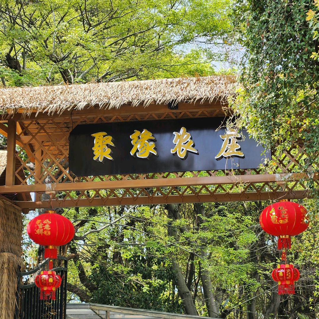 聚缘农庄（坤坤）