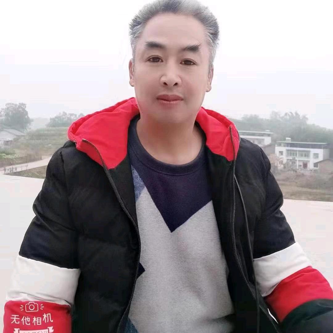 骏马心语