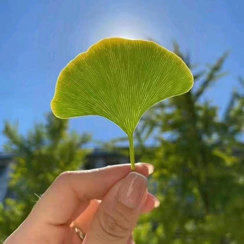 难得糊涂