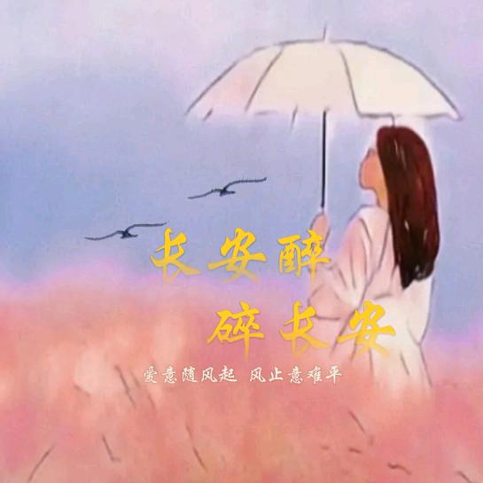 🌸长安醉🐯碎长安🌸