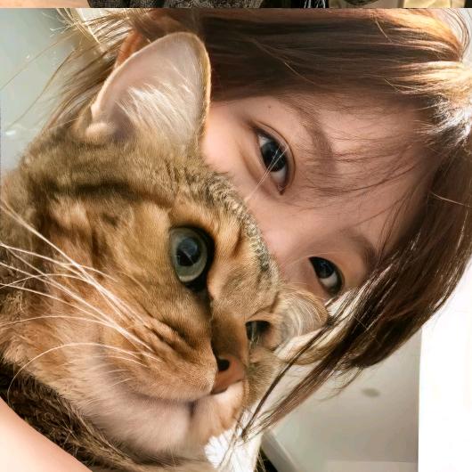 橘子-🍊