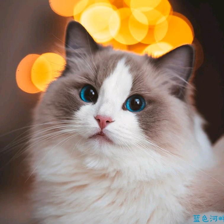 手指