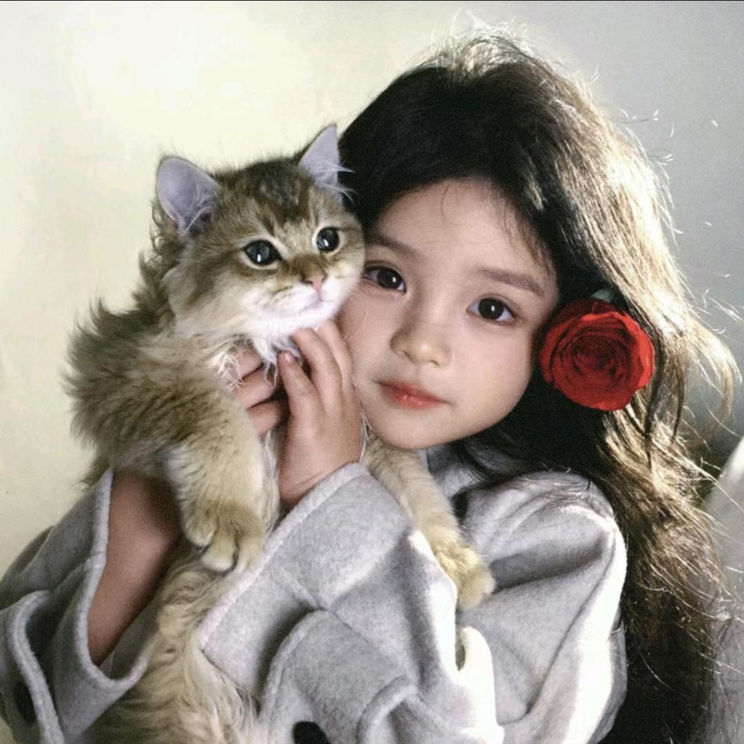慧宝宝❤️