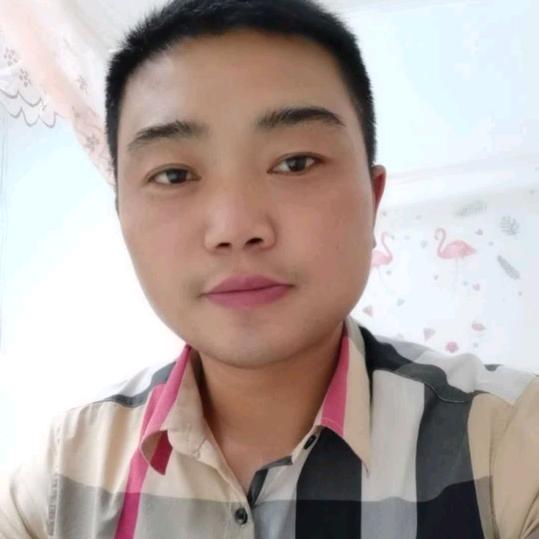 顺哥