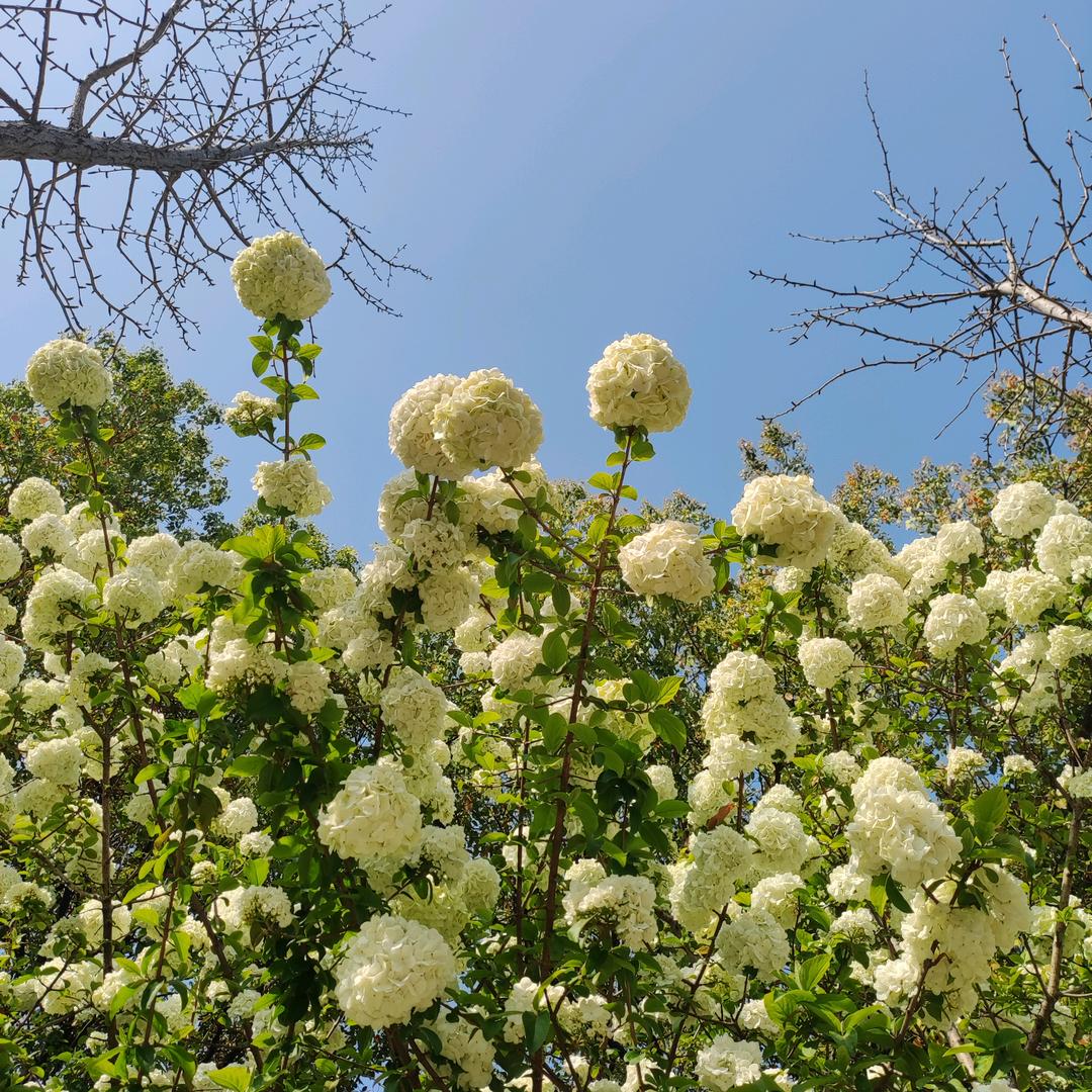 小高找到工作了吗？