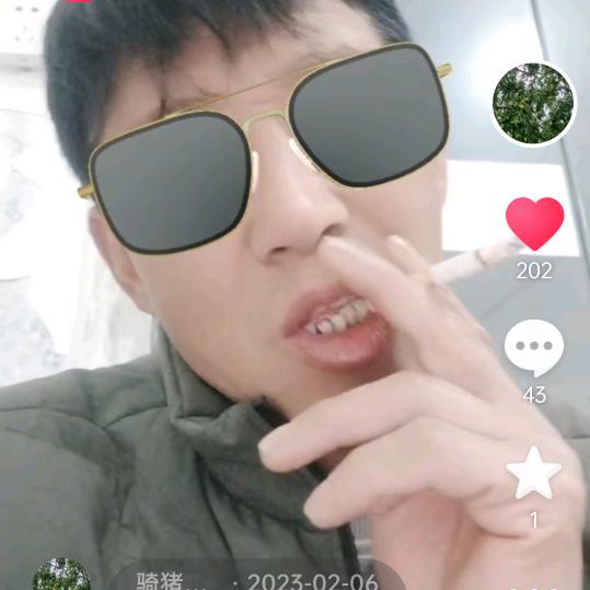 骑猪撞大树