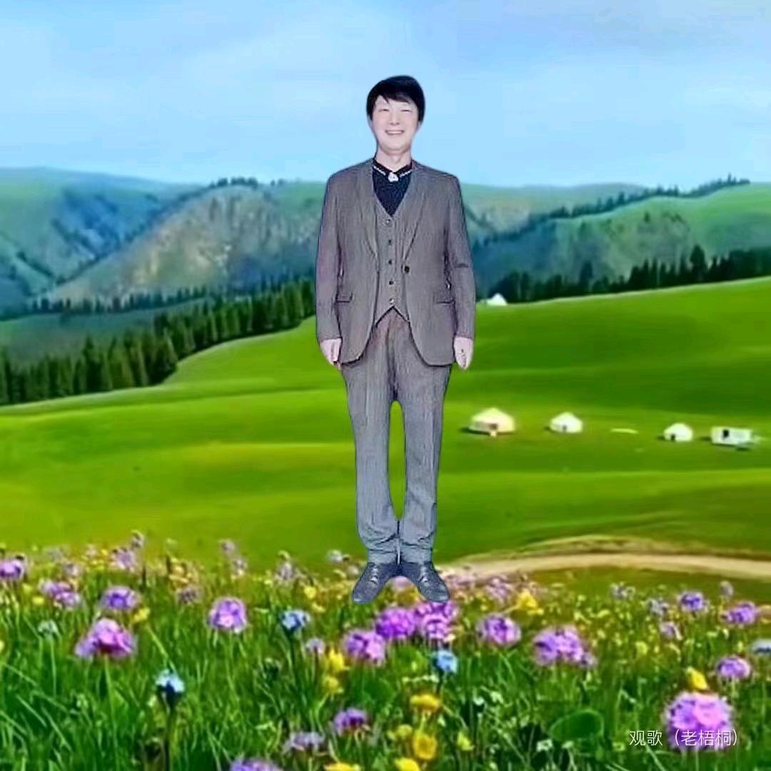 观歌