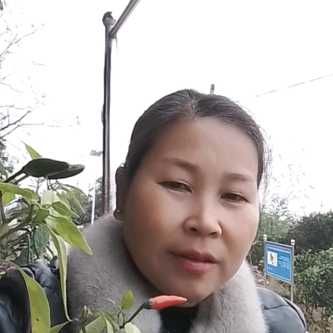 钟姐睌8点40直播