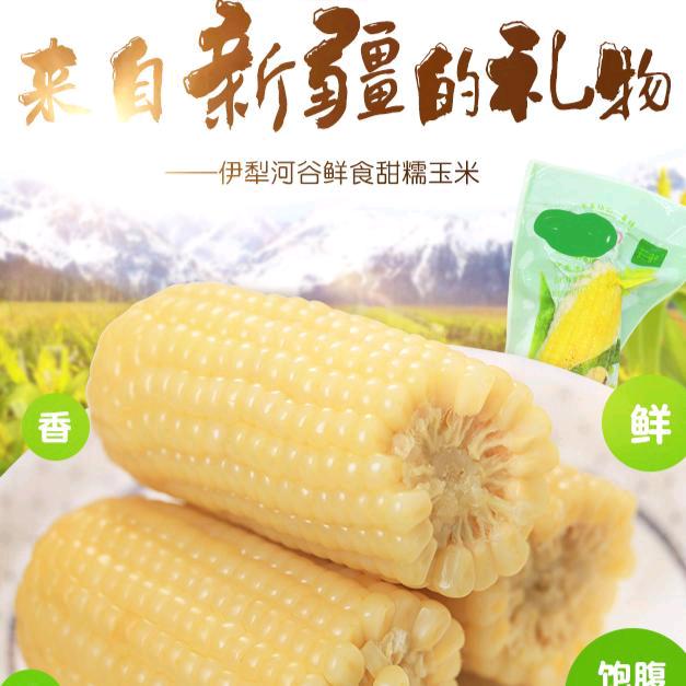 糯玉米华仔