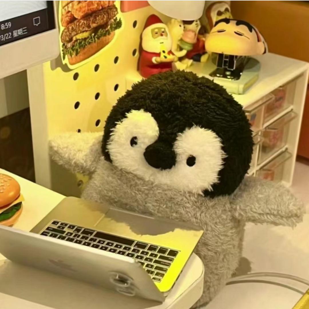 呆呆劫波莲