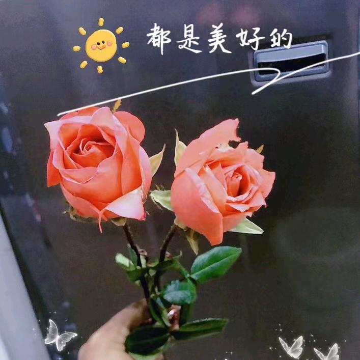 @贞贞