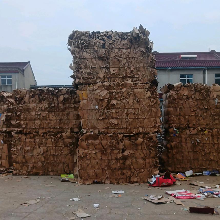 小邓的五口之家