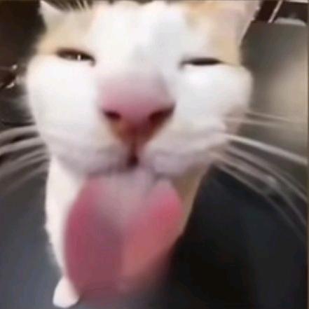 接我子弹的是给88854