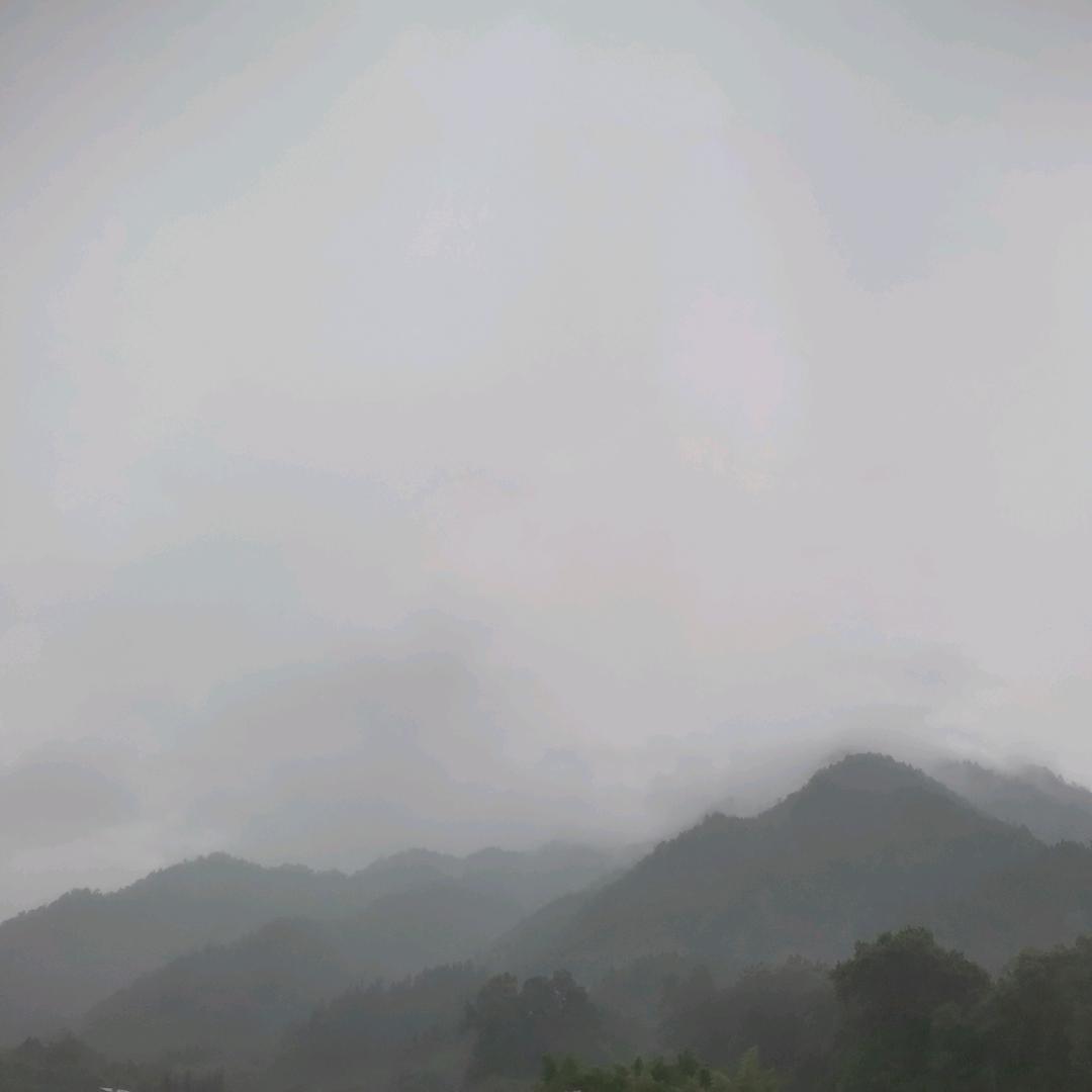 徐水水
