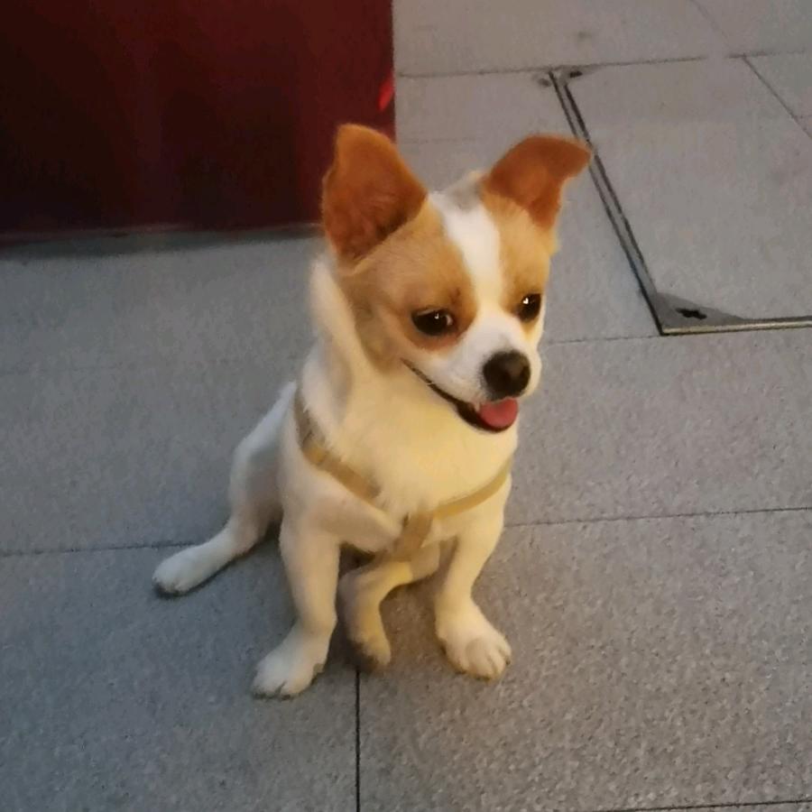 赵老师头像