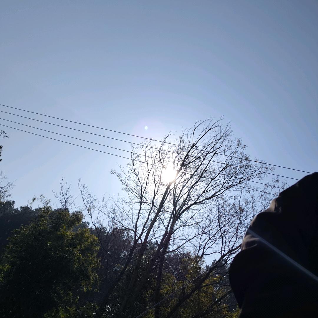 秋晨
