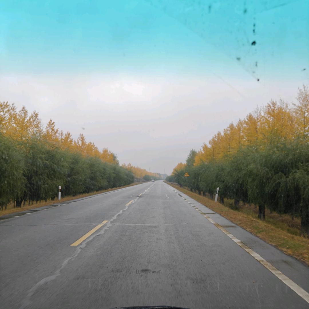 小姐姐橱窗好物分享