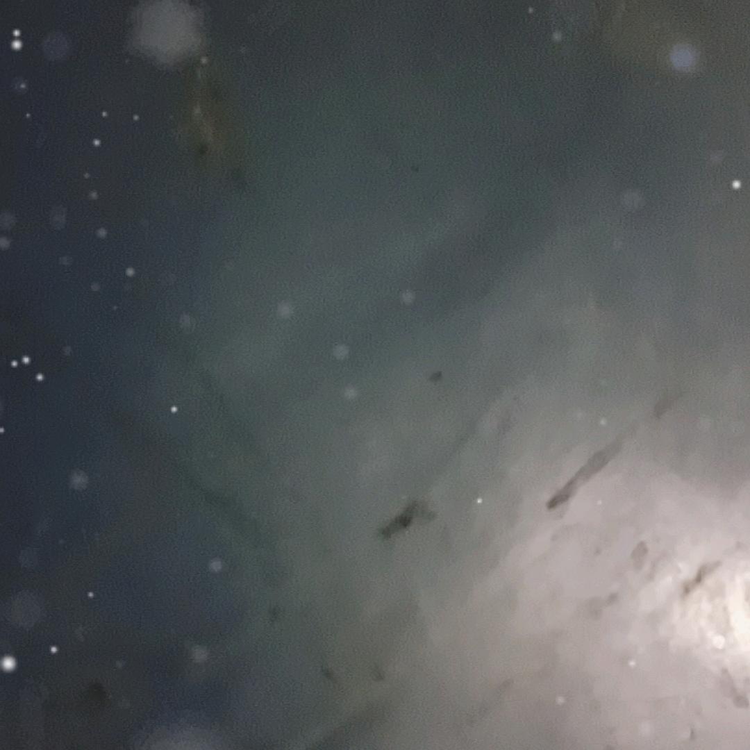 请 叫 靓 仔