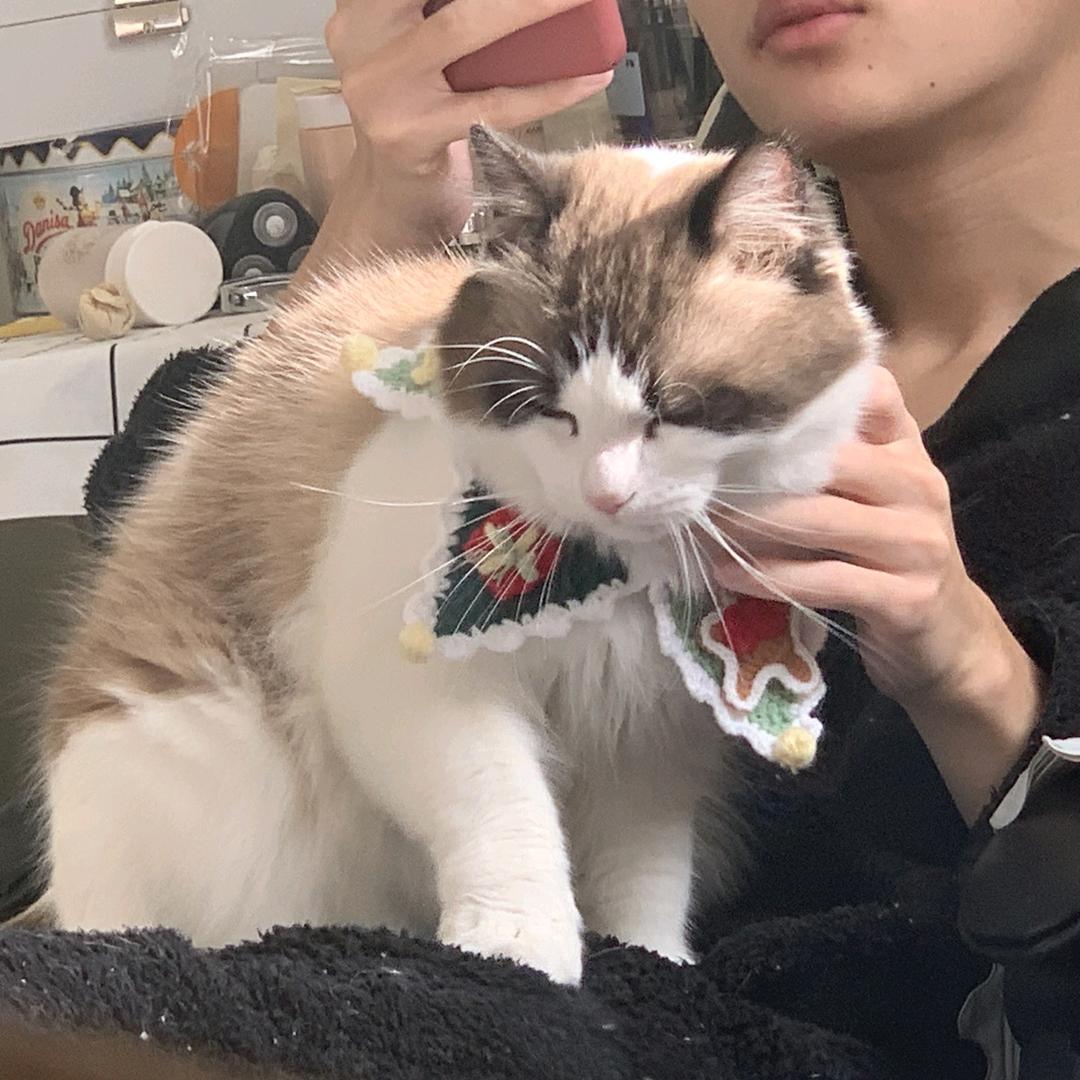 橡皮