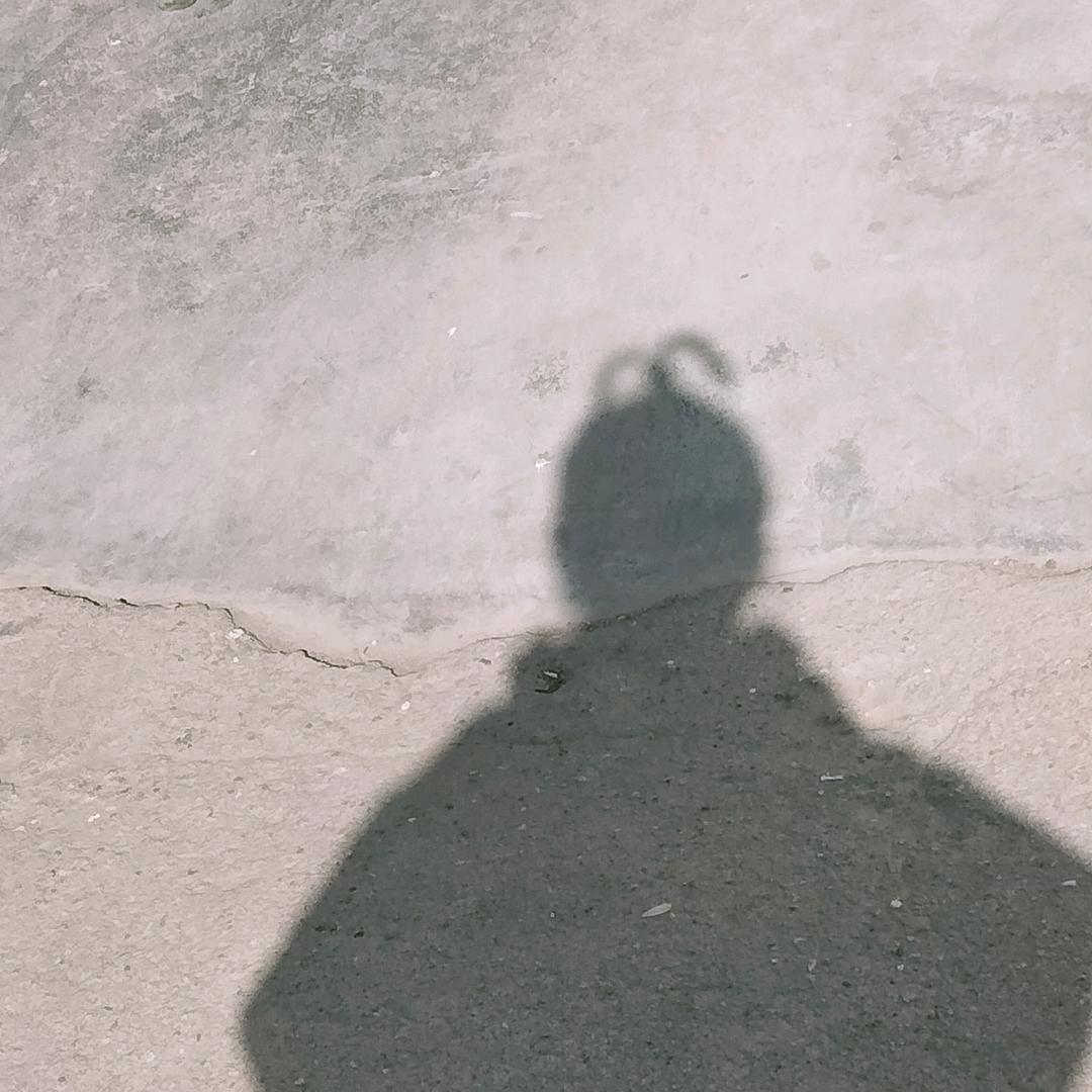 🌈红薯干蛋糕（红薯干子爱学习）