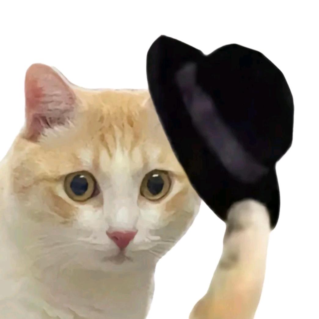 猫不出声