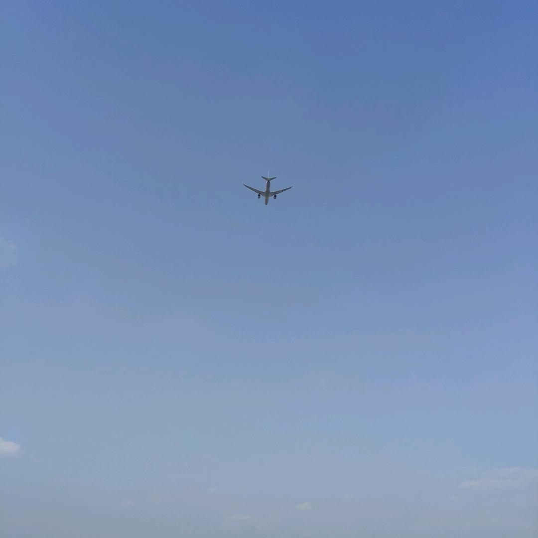 萧萧