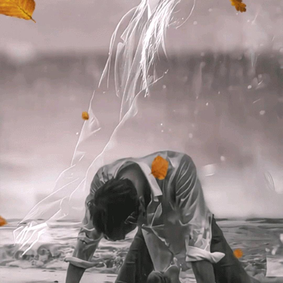 杨先生