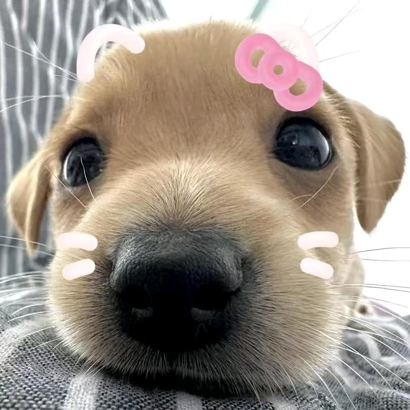 【A9📸(^_^)】来财来财～来