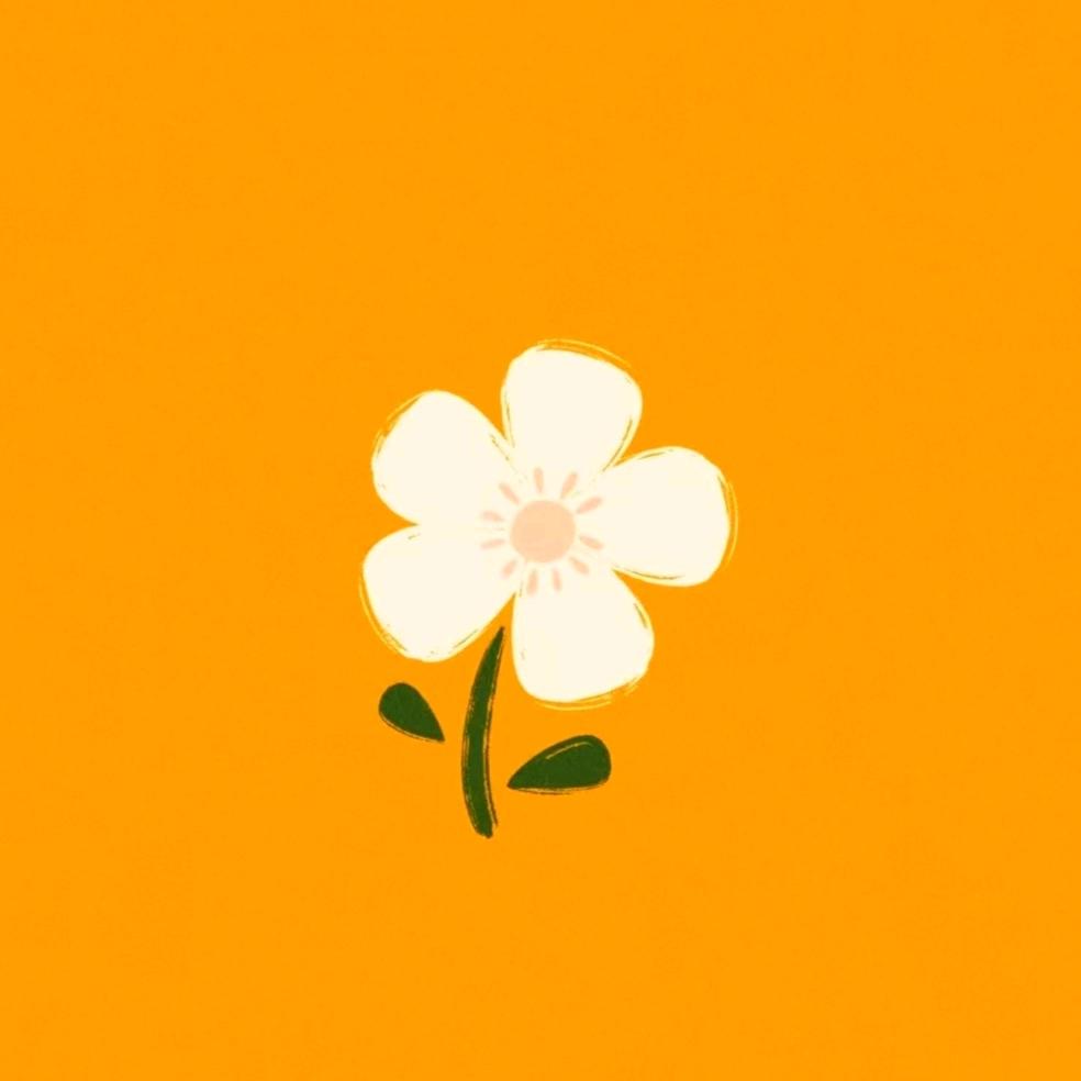 尚意美术书法