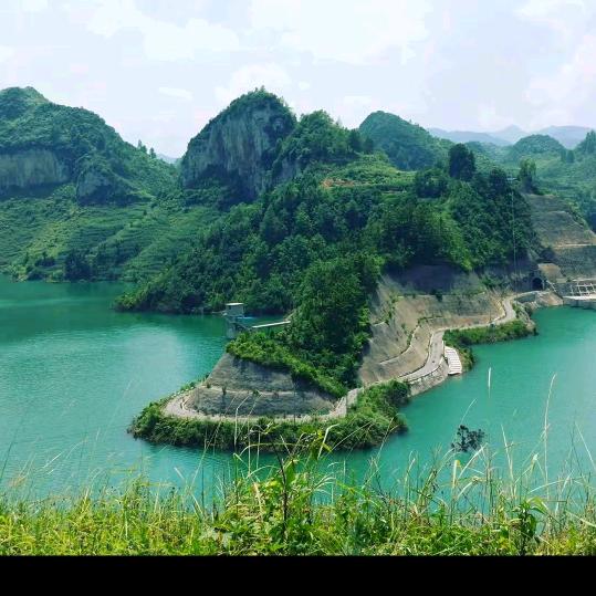 隔壁老黄单身到老