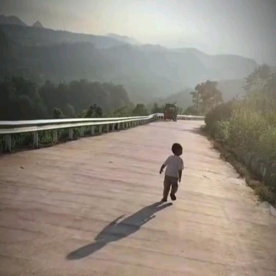 躲在蚊子背后的大象！