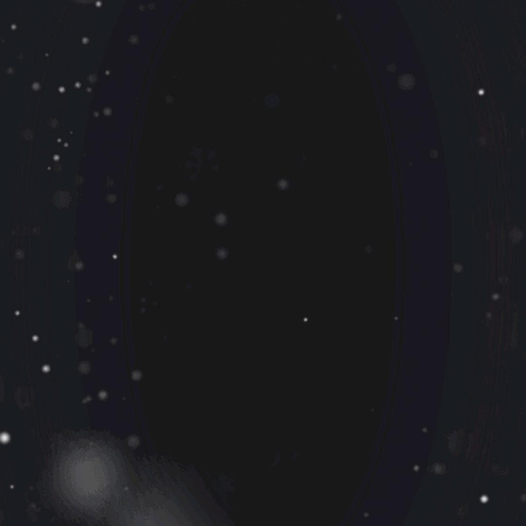 新新