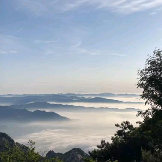 东岳石集