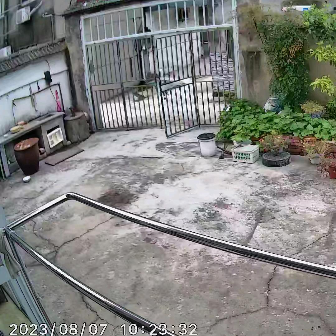 ′′′冫
