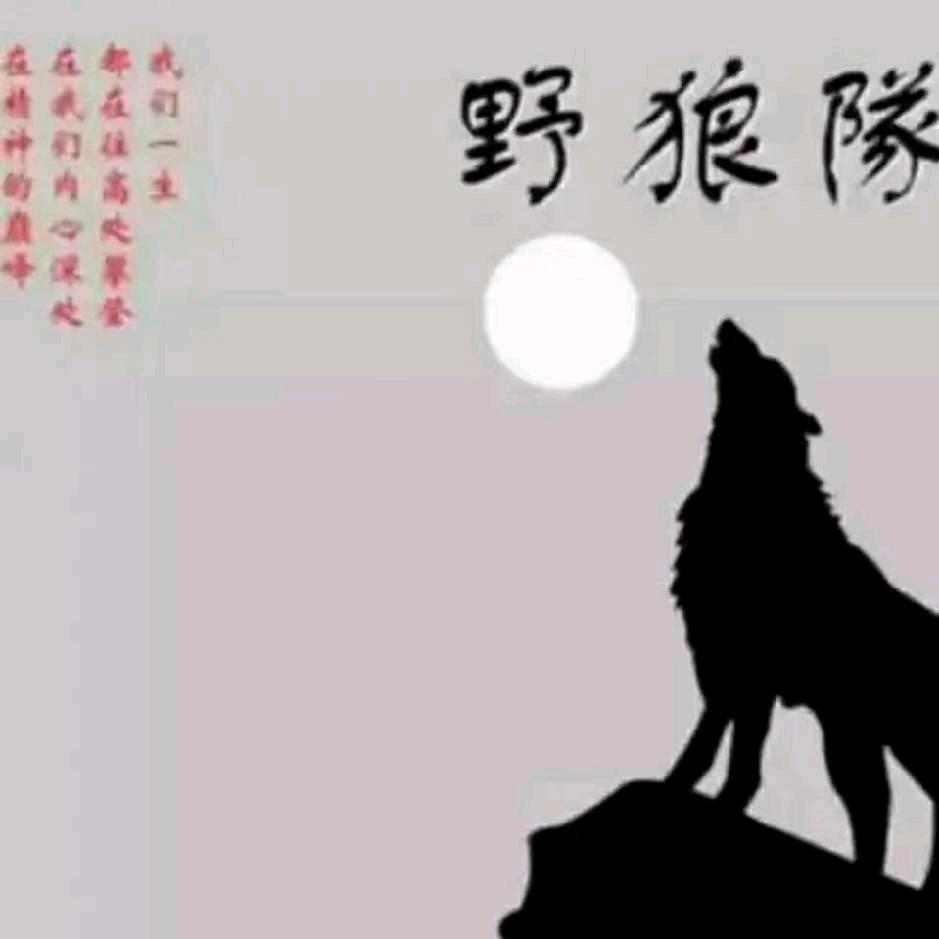 野狼传奇（自愿者）