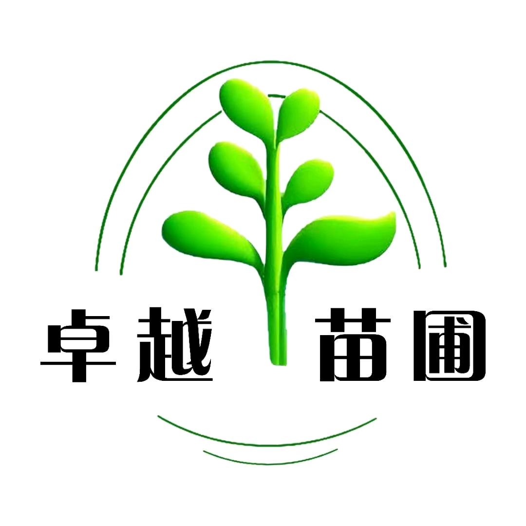 卓越苗圃校外托管中心